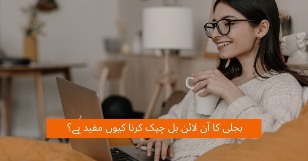 Why Checking Online Bill Electricity Useful? 2 Why Checking Online Bill Electricity Useful - check your bill online